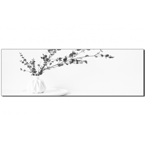 Obraz na plátně - Větev eukalyptu v bílé váze na bílém pozadí - panoráma
